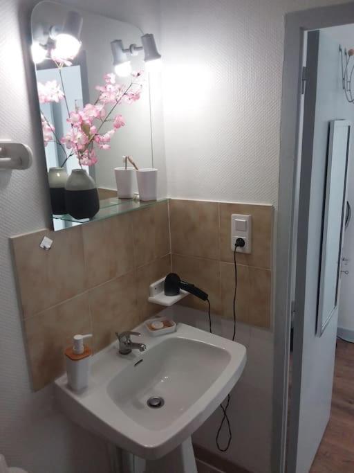 Appartement Duplexe De 1 A 4 Chambres Privees Dans Maison Le Teil Exterior photo